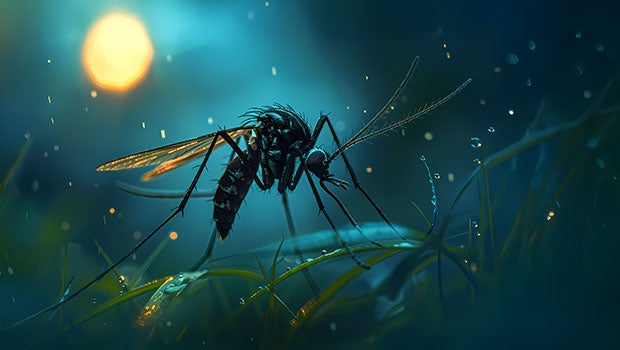 doctordiary-vdo-thumb3